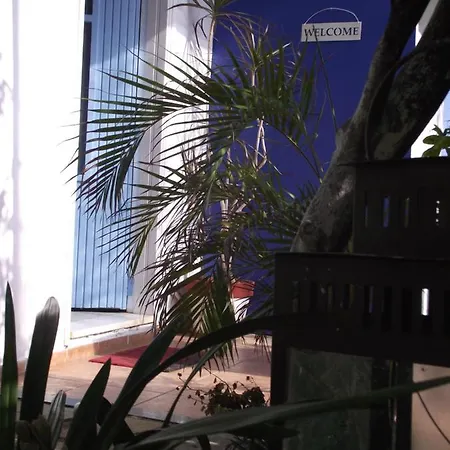 Ellenas- 니키아나