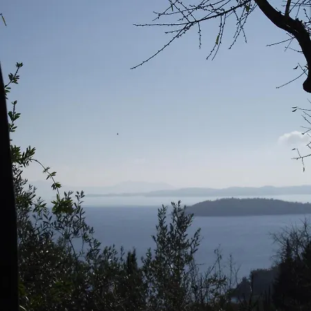 Ellenas- 니키아나